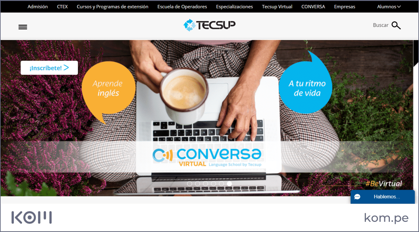 tecsup instituto las mejores paginas web en peru por rubros diseno seo  Diseño de páginas web para empresas en Lima  Perú