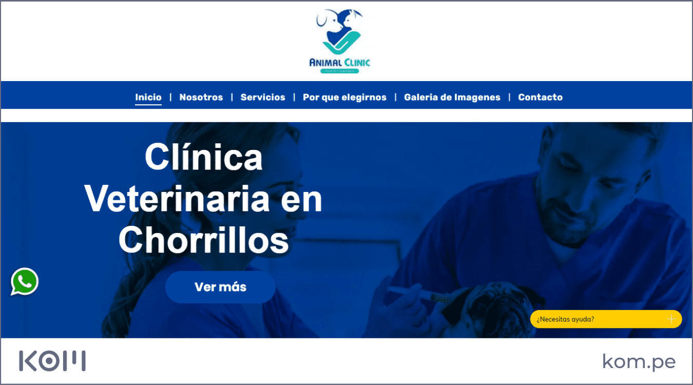 pagina web de clinica veterinaria chorrillos las mejores paginas web en peru por rubros diseno seo