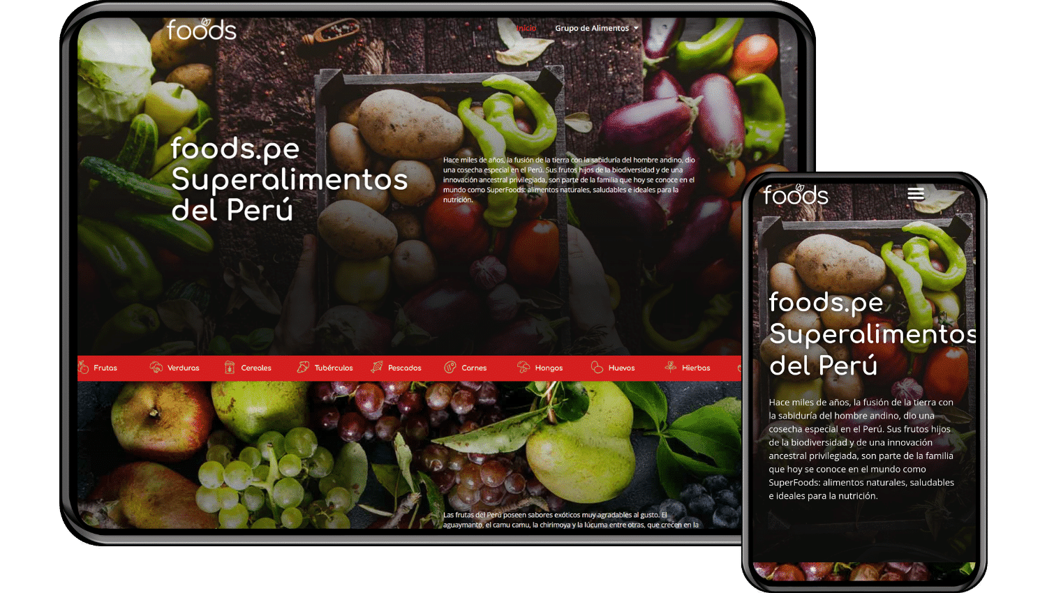 portafolio foods kom agencia digital peru 2