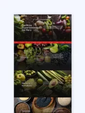 portada portafolio foods kom agencia digital peru   Diseño de páginas web para empresas en Lima   Perú