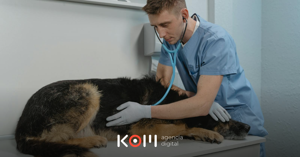 Veterinaria peruana atendiendo mascota en clínica con Libro de Reclamaciones obligatorio